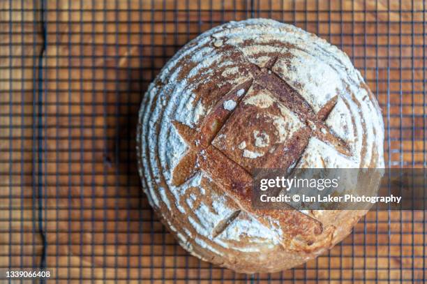 littlebourne, kent, england, uk. 15 may 2020. fresh sourdoough bread cooling on a wire rack. - scoring bread stock pictures, royalty-free photos & images