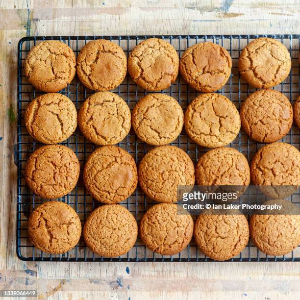 littlebourne, kent, england, uk. 12 february 2021. fresh ginger nut biscuits cooling on a wire rack. - ginger snap stock pictures, royalty-free photos & images
