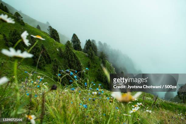 scenic view of mountains against sky during foggy weather,rakhed,himachal pradesh,india - himachal pradesh stock pictures, royalty-free photos & images