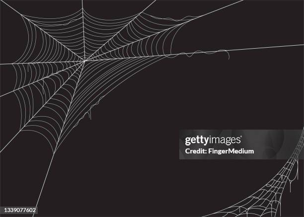 spider web vector illustration - spider stock illustrations
