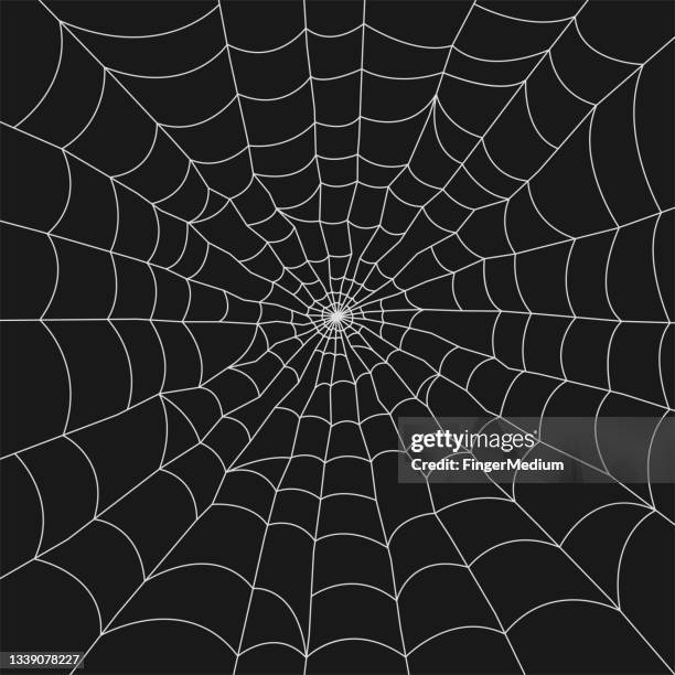 ilustrações de stock, clip art, desenhos animados e ícones de spider web vector set - spider web