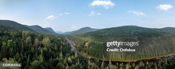 luftaufnahme von boreal nature forest and river im sommer, quebec, kanada - borealer wald stock-fotos und bilder