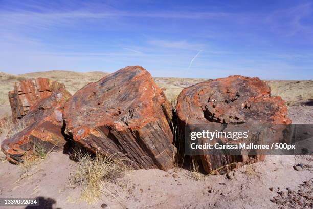 panoramic view of rock formations against sky,petrified forest national park,arizona,united states,usa - the petrified forest national park stock pictures, royalty-free photos & images