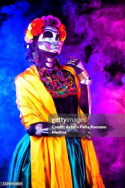 catrina - day of the dead stock pictures, royalty-free photos & images