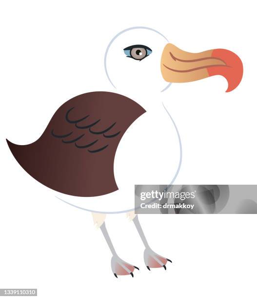 black browed albatross - albatross stock illustrations