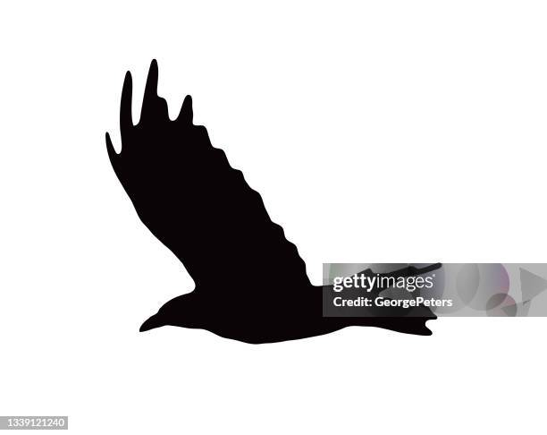 Raven In Flight Icon Raven Icon Photos and Premium High Res Pictures - Getty Images