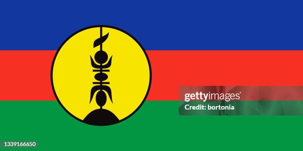 new caledonia flag - new caledonia stock illustrations