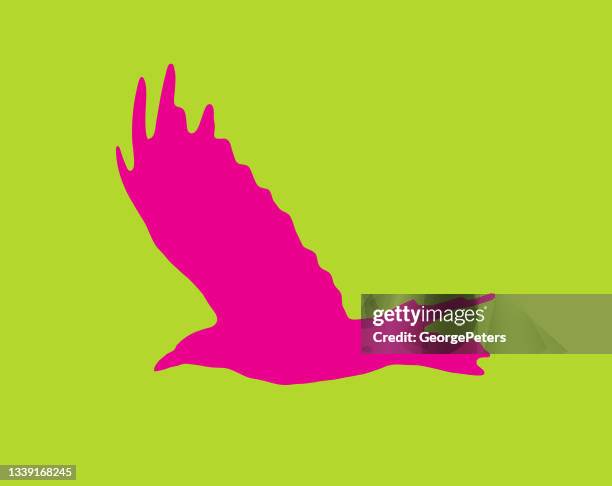 one raven flying - roadrunner cutout stock illustrations