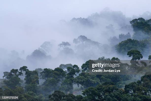 beautiful misty mountains - high level summit stock pictures, royalty-free photos & images