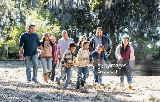 公園を歩く大規模な多世代ヒスパニック系家族 - large family ストックフォトと画像