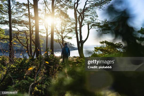 femme faisant de la randonnée en plein air dans la forêt automnale et les fjords en norvège - scandinavie photos et images de collection