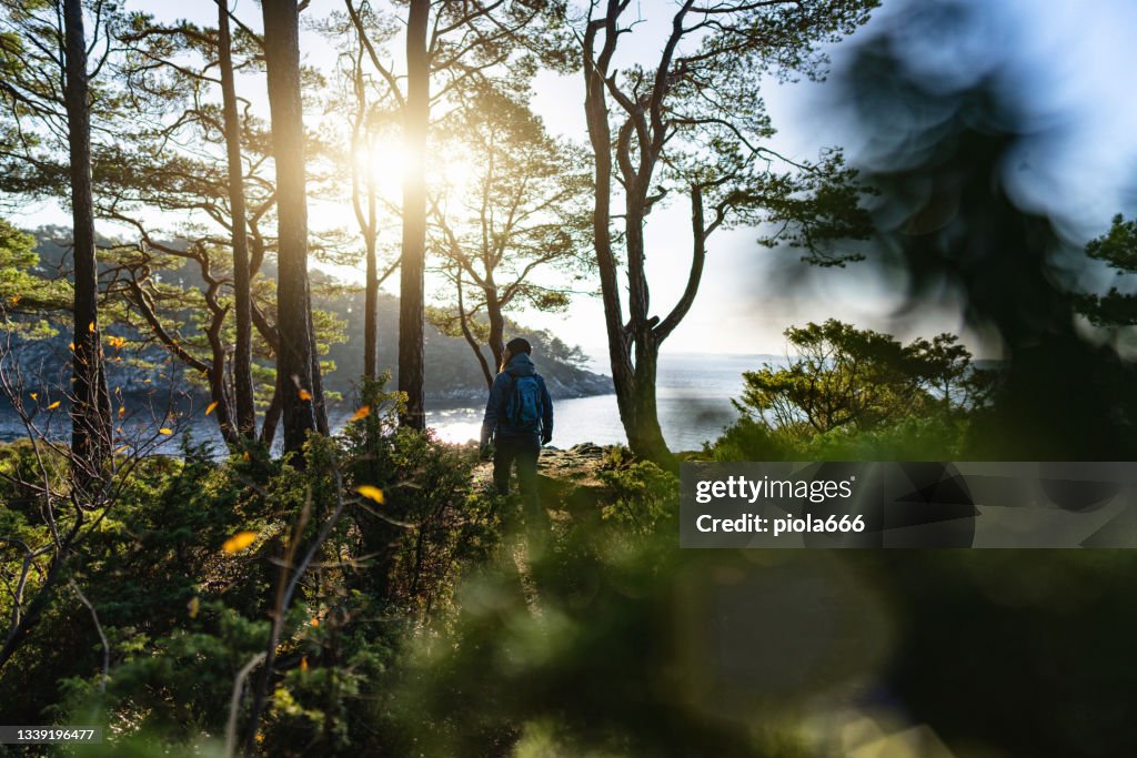 Woman hiking outdoors in autumnal forest and fjords in Norway