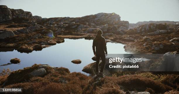 bärtiger wikingermann porträt: an einem bergsee - wikinger stock-fotos und bilder