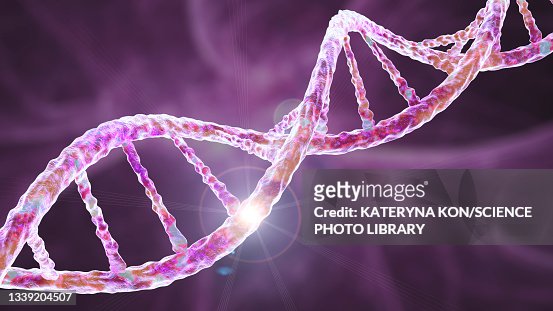  Ilustraciones de Mutación Genética - Getty Images
