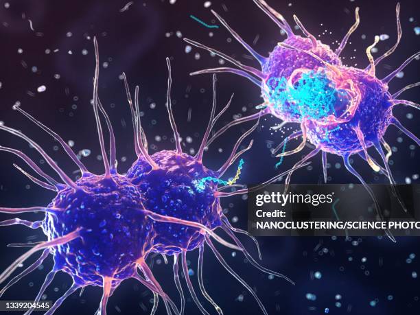 stockillustraties, clipart, cartoons en iconen met bacterial transformation, illustration - neisseria gonorrhoeae