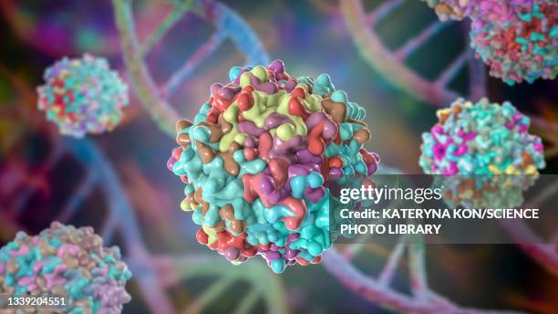 adeno-associated viruses, illustration - muscular dystrophy stock illustrations