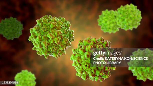 ilustrações de stock, clip art, desenhos animados e ícones de adeno-associated viruses, illustration - capsídeo