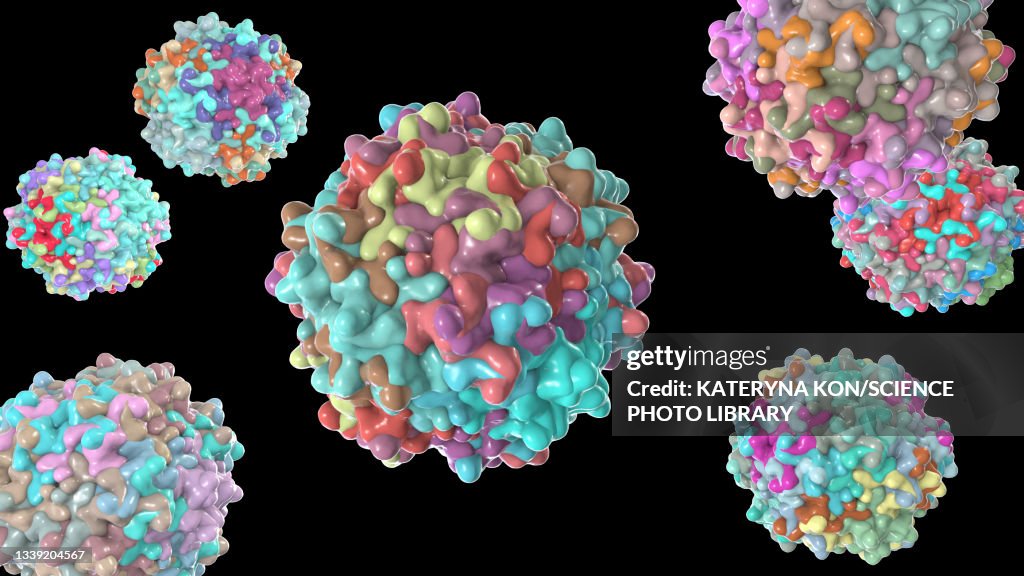 Adeno-associated viruses, illustration