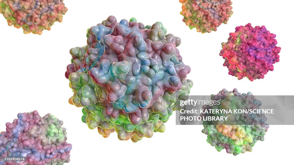 Adeno-associated viruses, illustration