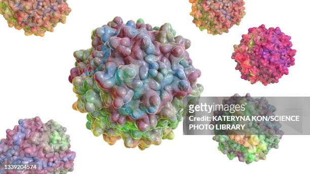 adeno-associated viruses, illustration - protein coat stock illustrations