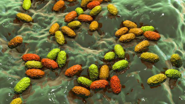 bordetella pertussis, illustration - whooping-cough stock illustrations