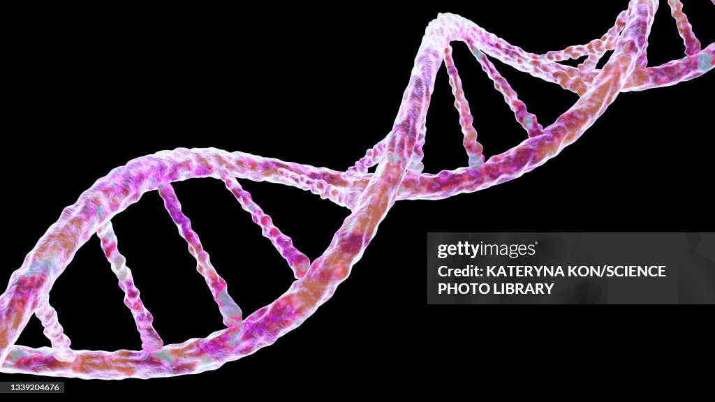 DNA molecule, illustration
