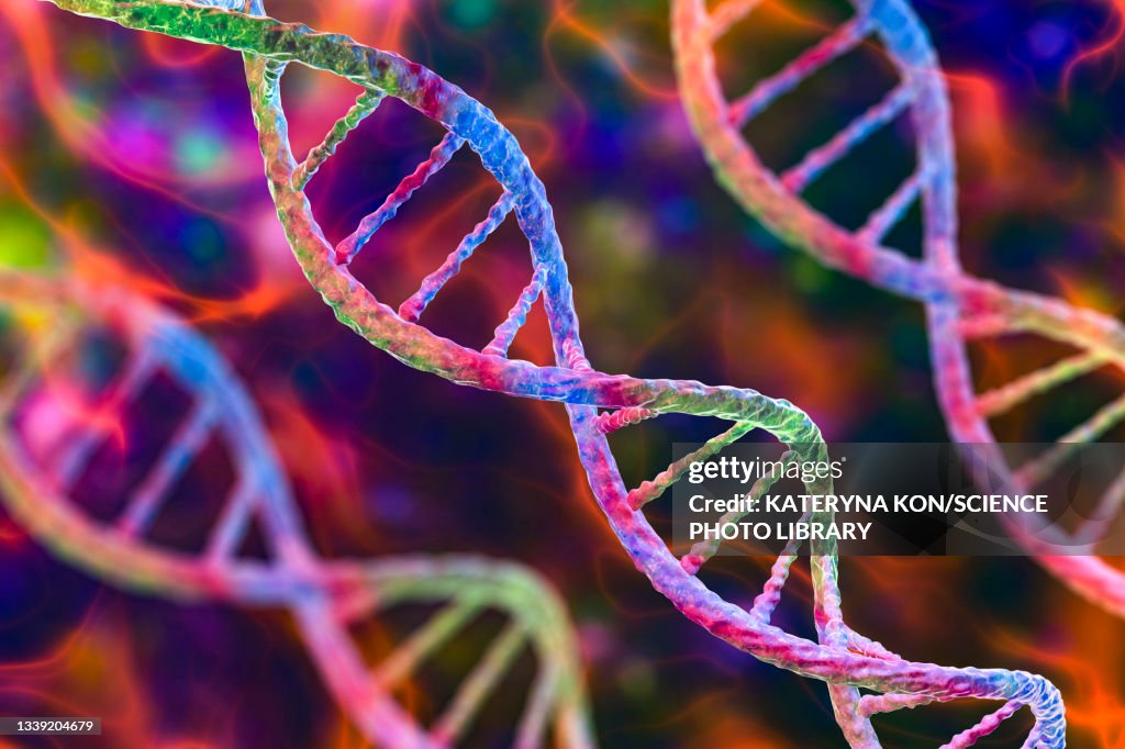 DNA molecule, illustration