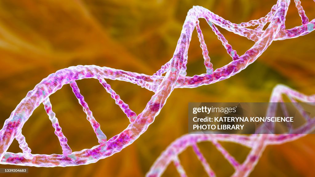 DNA molecule, illustration
