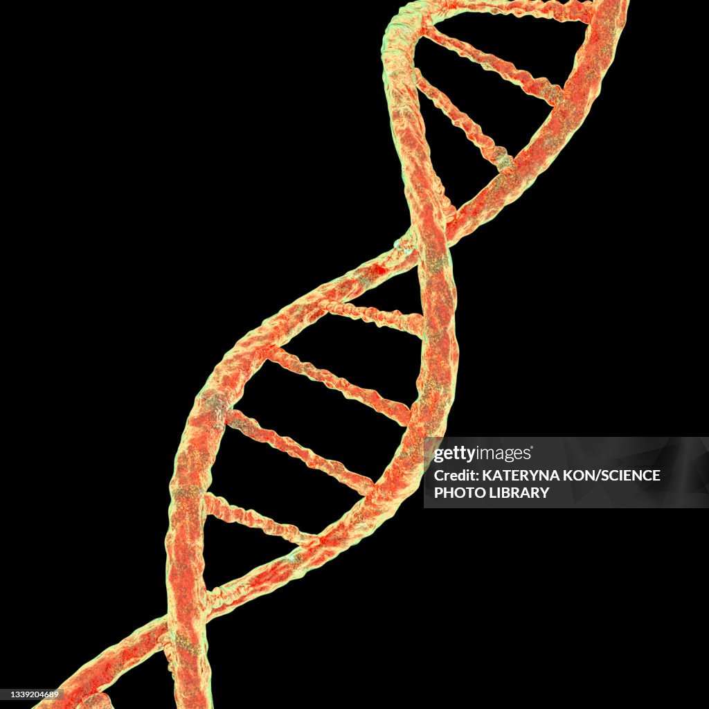 DNA molecule, illustration