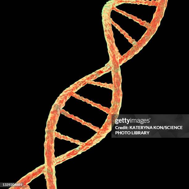 dna molecule, illustration - high cholesterol stock illustrations