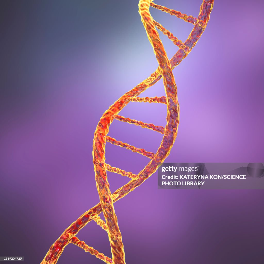 DNA molecule, illustration