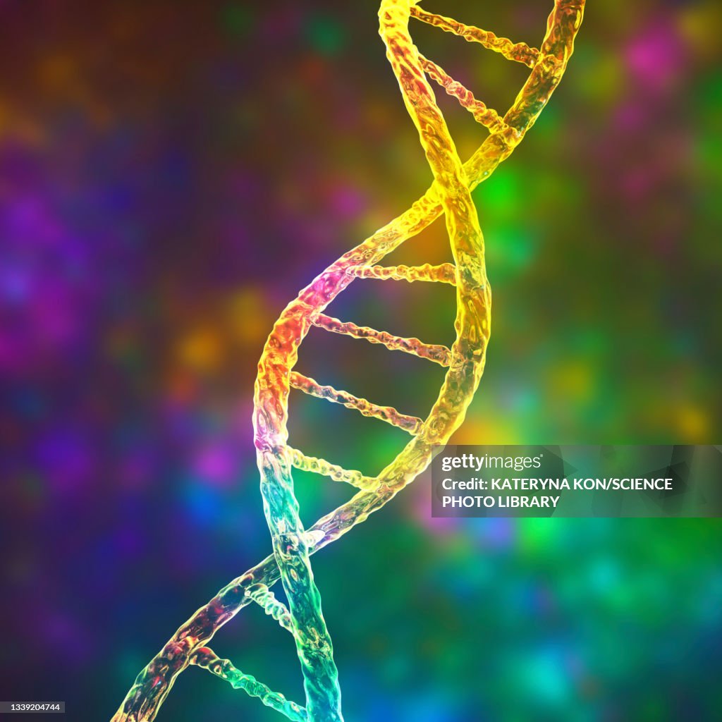 DNA molecule, illustration