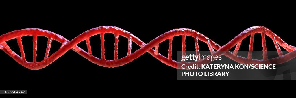 DNA molecule, illustration