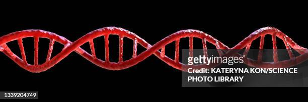dna molecule, illustration - genetic mutation stock illustrations