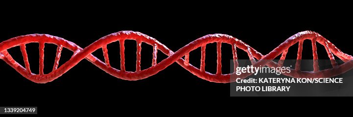 DNA molecule, illustration DNA molecule, illustration