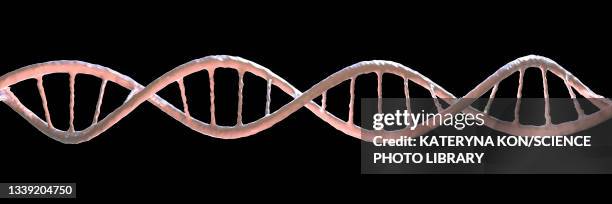 Dna Molecule Illustration High-Res Vector Graphic