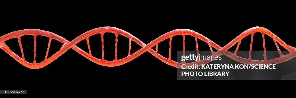 DNA molecule, illustration