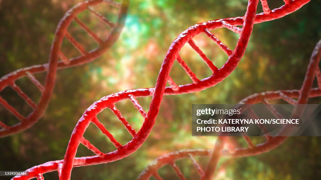 DNA molecule, illustration