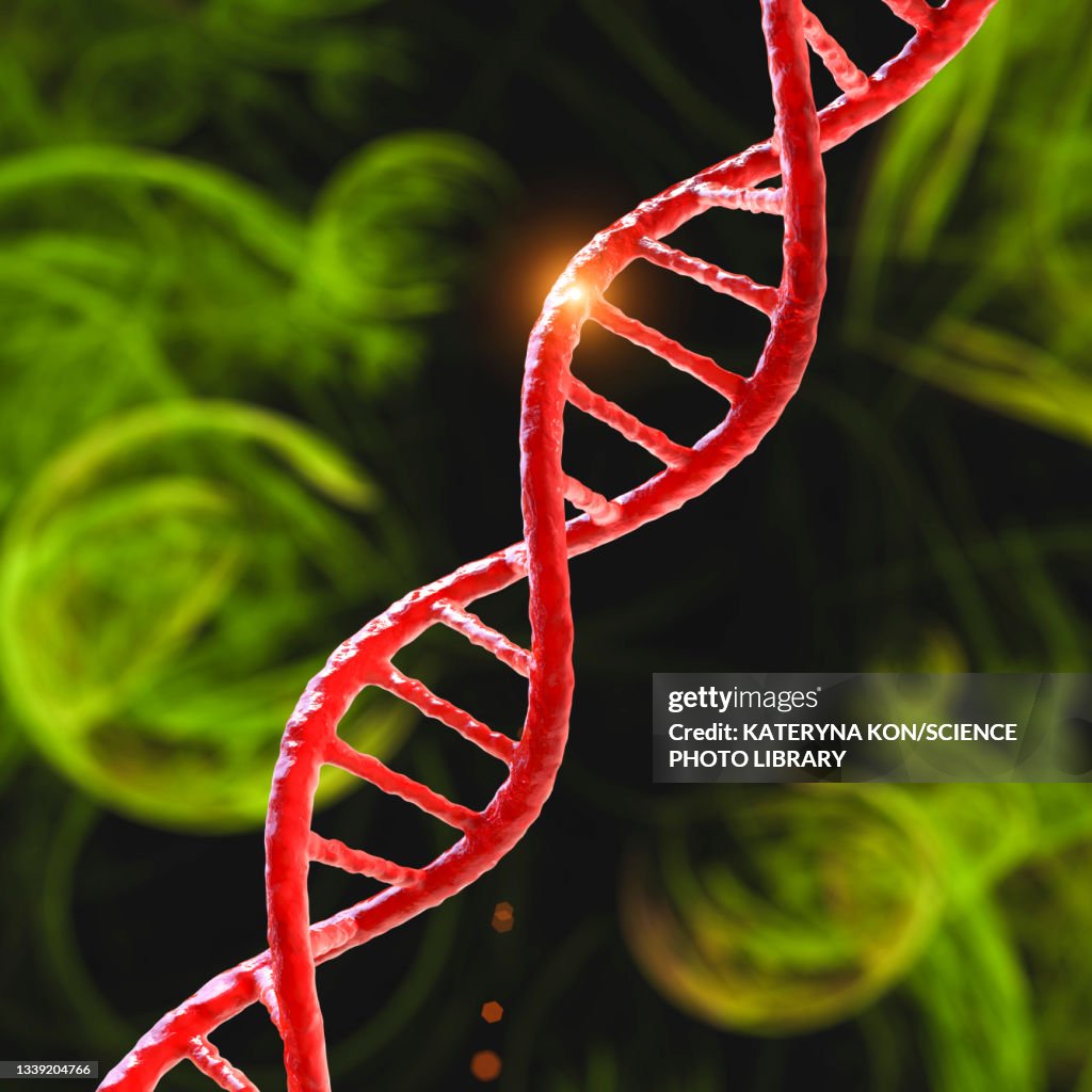 DNA molecule, illustration