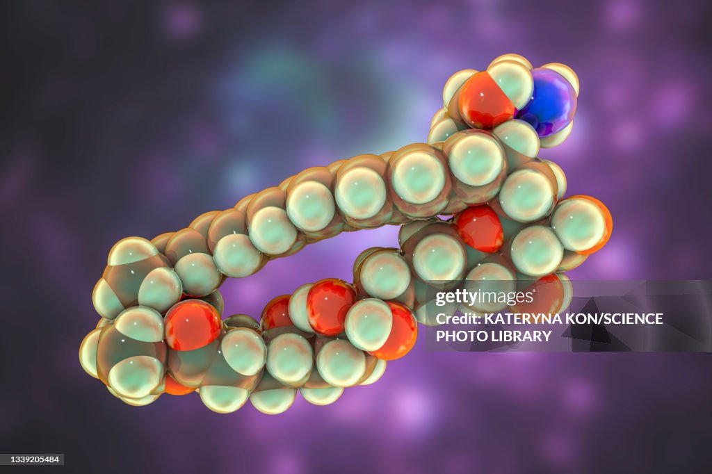 Amphotericin B antifungal drug molecule, illustration