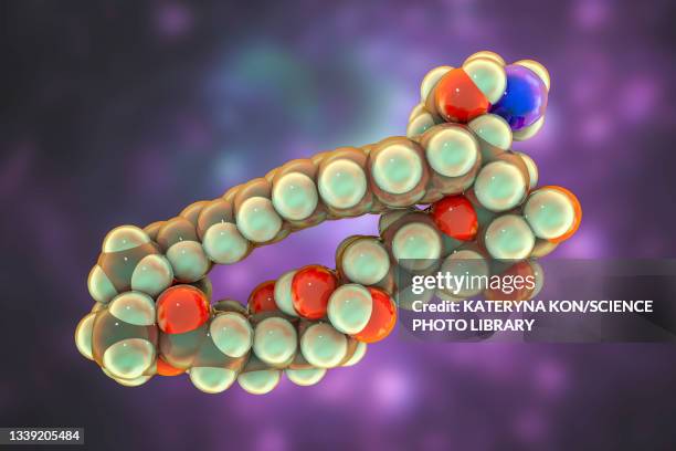 amphotericin b antifungal drug molecule, illustration - liposome stock illustrations