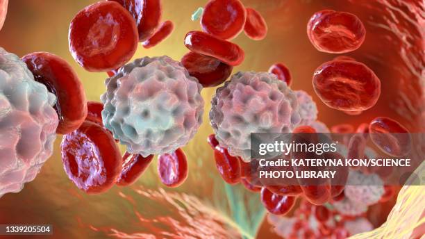 illustrations, cliparts, dessins animés et icônes de lymphocytosis, illustration - red blood cells