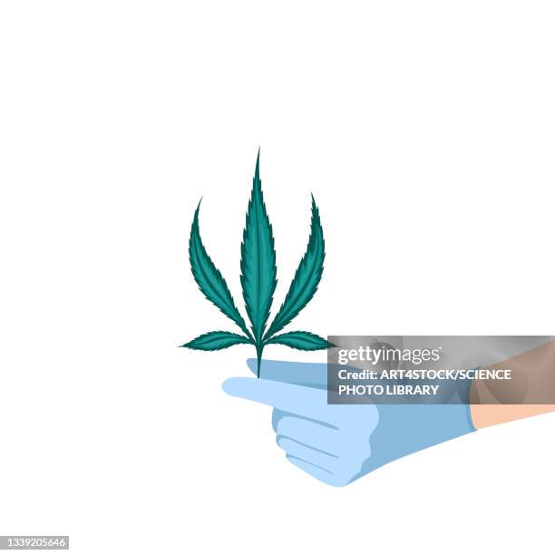 treatment with cannabis plant, conceptual illustration - hemp stock-grafiken, -clipart, -cartoons und -symbole