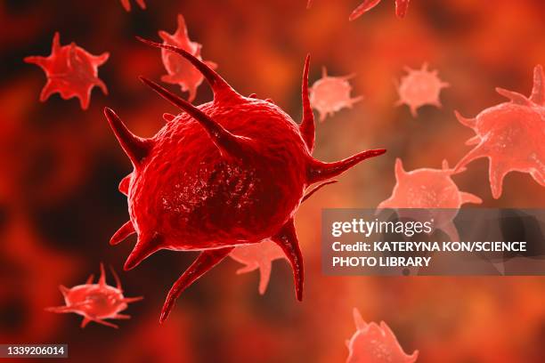 activated platelets, illustration - platelet stock-fotos und bilder