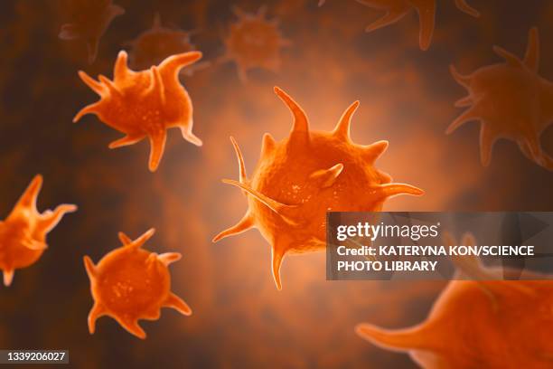 activated platelets, illustration - platelet ストックフォトと画像