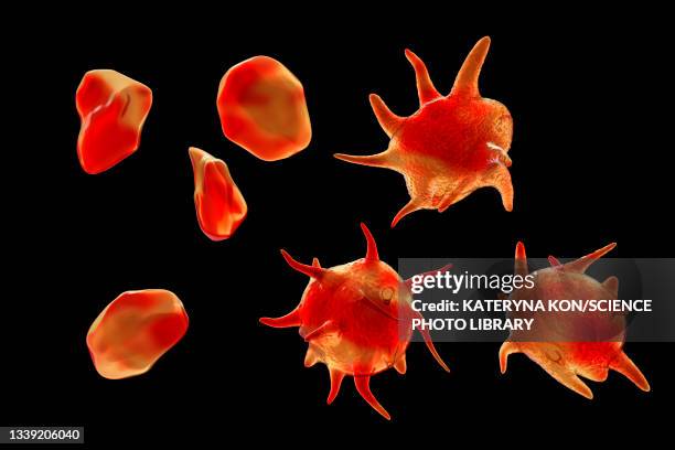 activated and non-activated platelets, illustration - platelet stock-grafiken, -clipart, -cartoons und -symbole