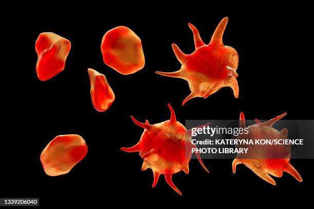 stockillustraties, clipart, cartoons en iconen met activated and non-activated platelets, illustration - bloedplaatje