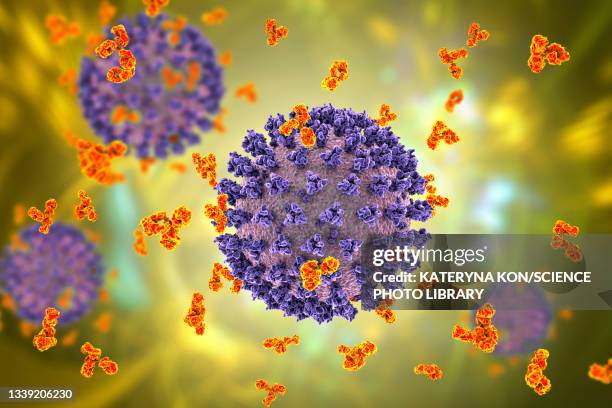 antibodies responding to covid-19 coronavirus, illustration - macrophage stock illustrations