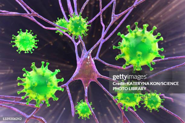 viral encephalitis, conceptual illustration - arenavirus stock illustrations