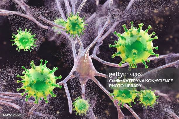viral encephalitis, conceptual illustration - encephalitis stock illustrations